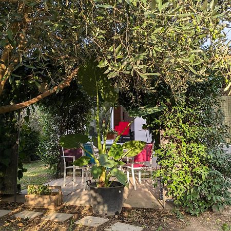 Вілла La Maison Sous L'Olivier Morieres-les-Avignon Екстер'єр фото