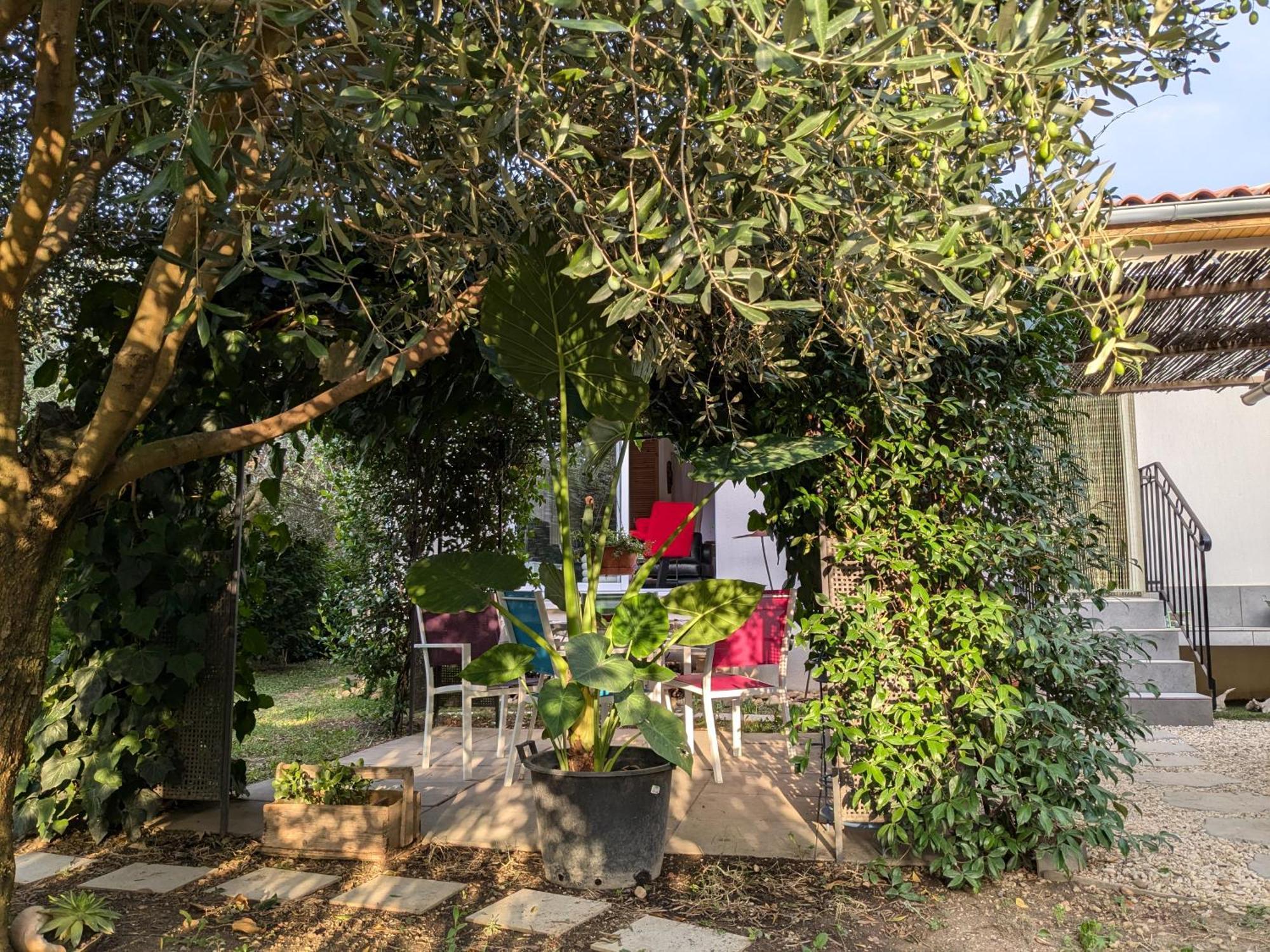 Вілла La Maison Sous L'Olivier Morieres-les-Avignon Екстер'єр фото